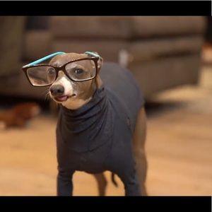 Meet your Posher, Joanna